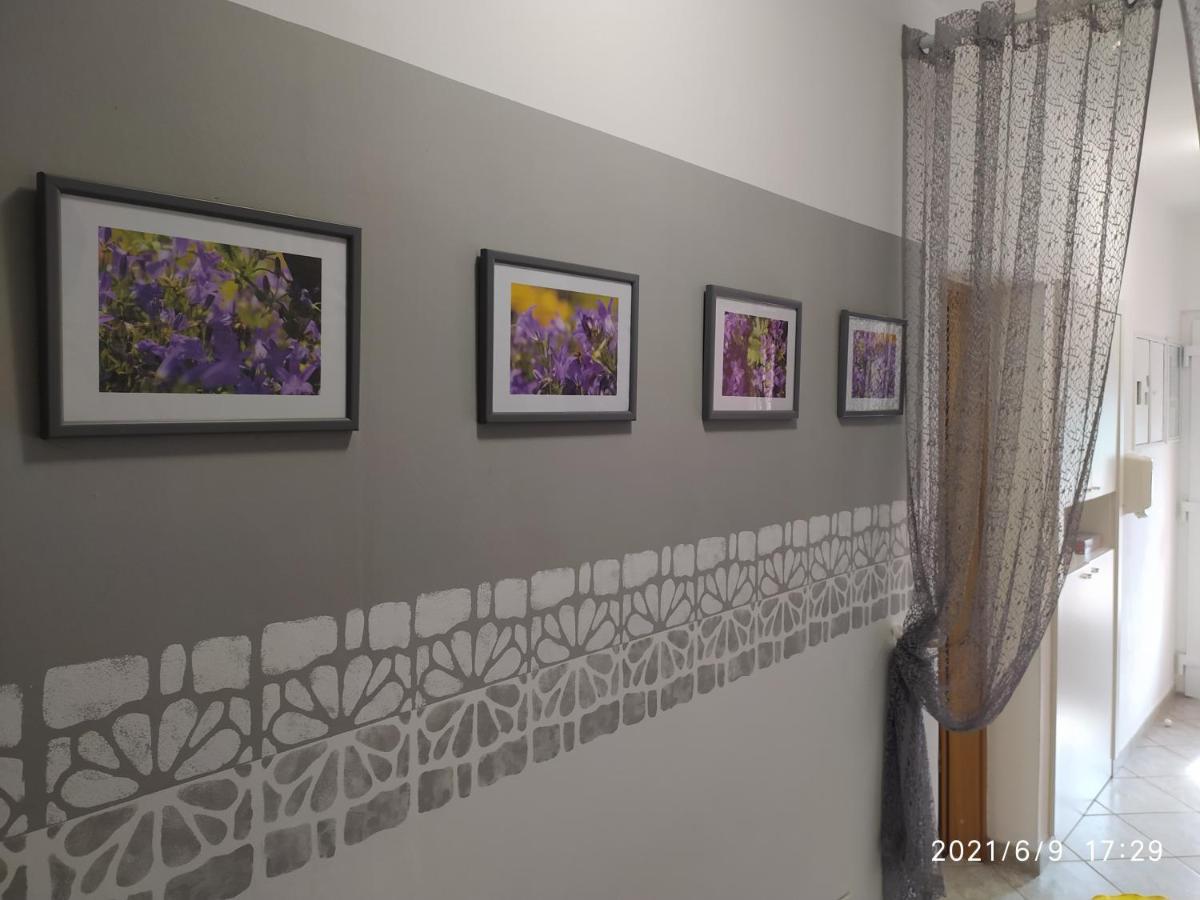 Apartment Sara ノヴィ・ヴィノドロスキー エクステリア 写真