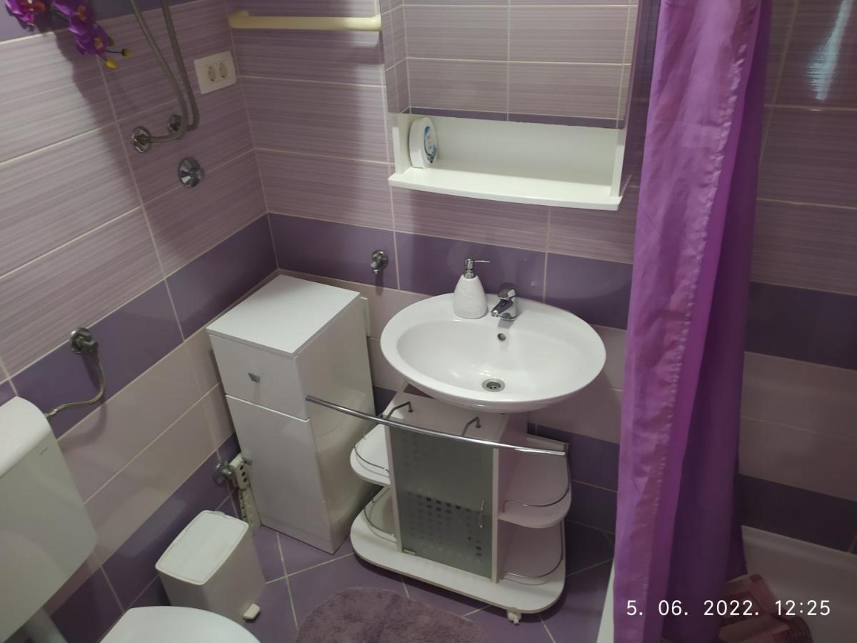 Apartment Sara ノヴィ・ヴィノドロスキー エクステリア 写真